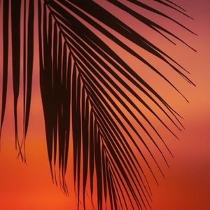 Meet your Posher, Kay